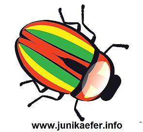 Juni-Käfer